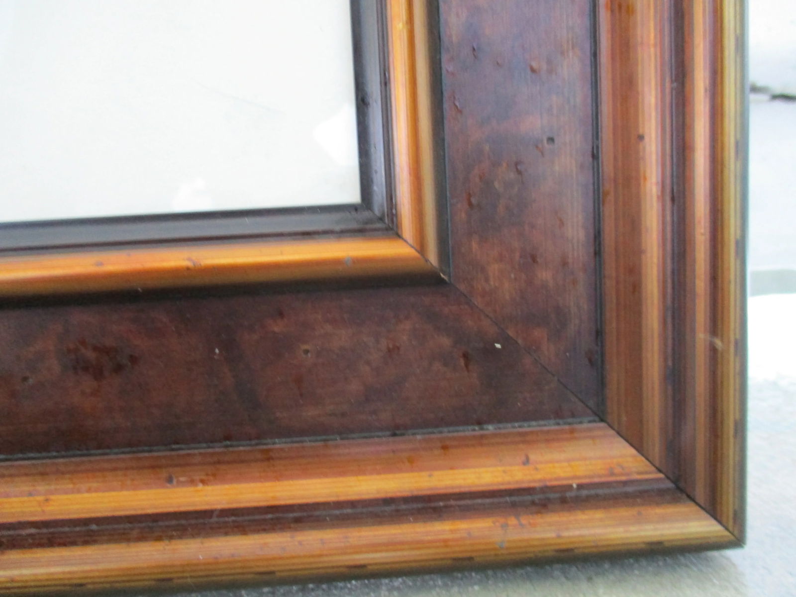 2003 Dan Sayles Leaves Giclee Print Signed Matted and Framed - 5