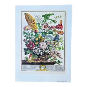 1980s Vintage Robert Furber August Botanical From "Twelve Months of Flowers" Pierpont Morgan Libra