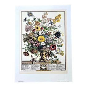 1980s Vintage Robert Furber November Botanical From "Twelve Months of Flowers" Pierpont Morgan Lib