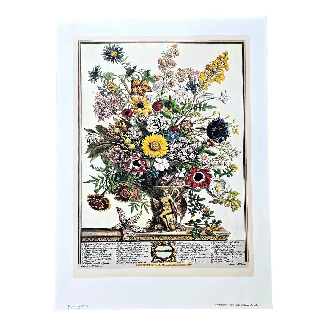 1980s Vintage Robert Furber November Botanical From "Twelve Months of Flowers" Pierpont Morgan Lib (1 of 10)