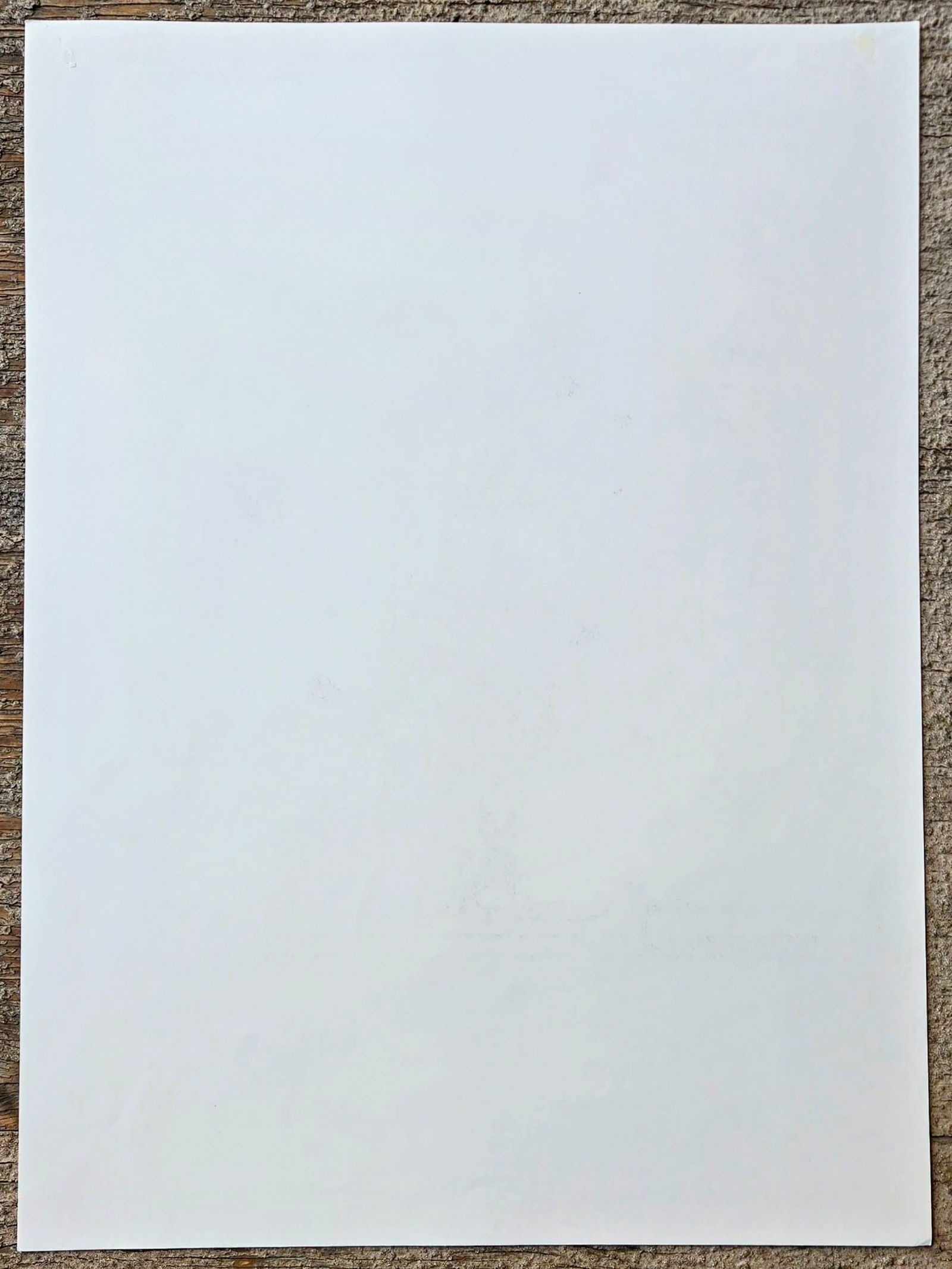 1980s Vintage Robert Furber November Botanical From "Twelve Months of Flowers" Pierpont Morgan Lib - 9