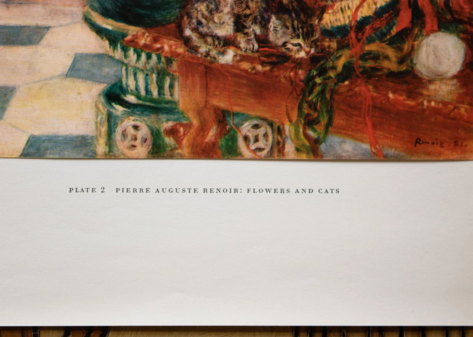 1950s After Renoir "Flowers and Cats", First Edition Swiss Full-Color Print - 4