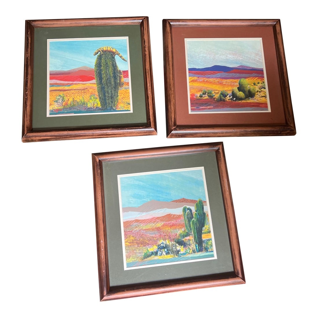 1970s Trio of Desert Cactus Paintings in Wooden Frames, Set of 3 (1 of 5)