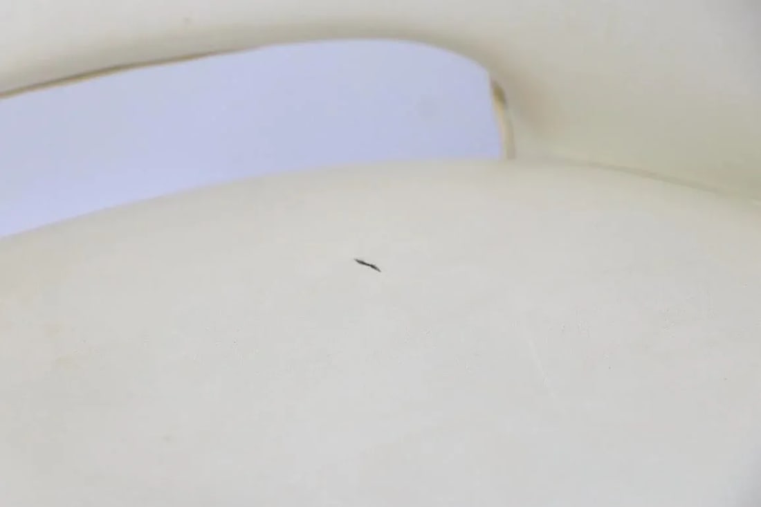 Mid Century Lounge Armchair by Brody After Thonet - 4