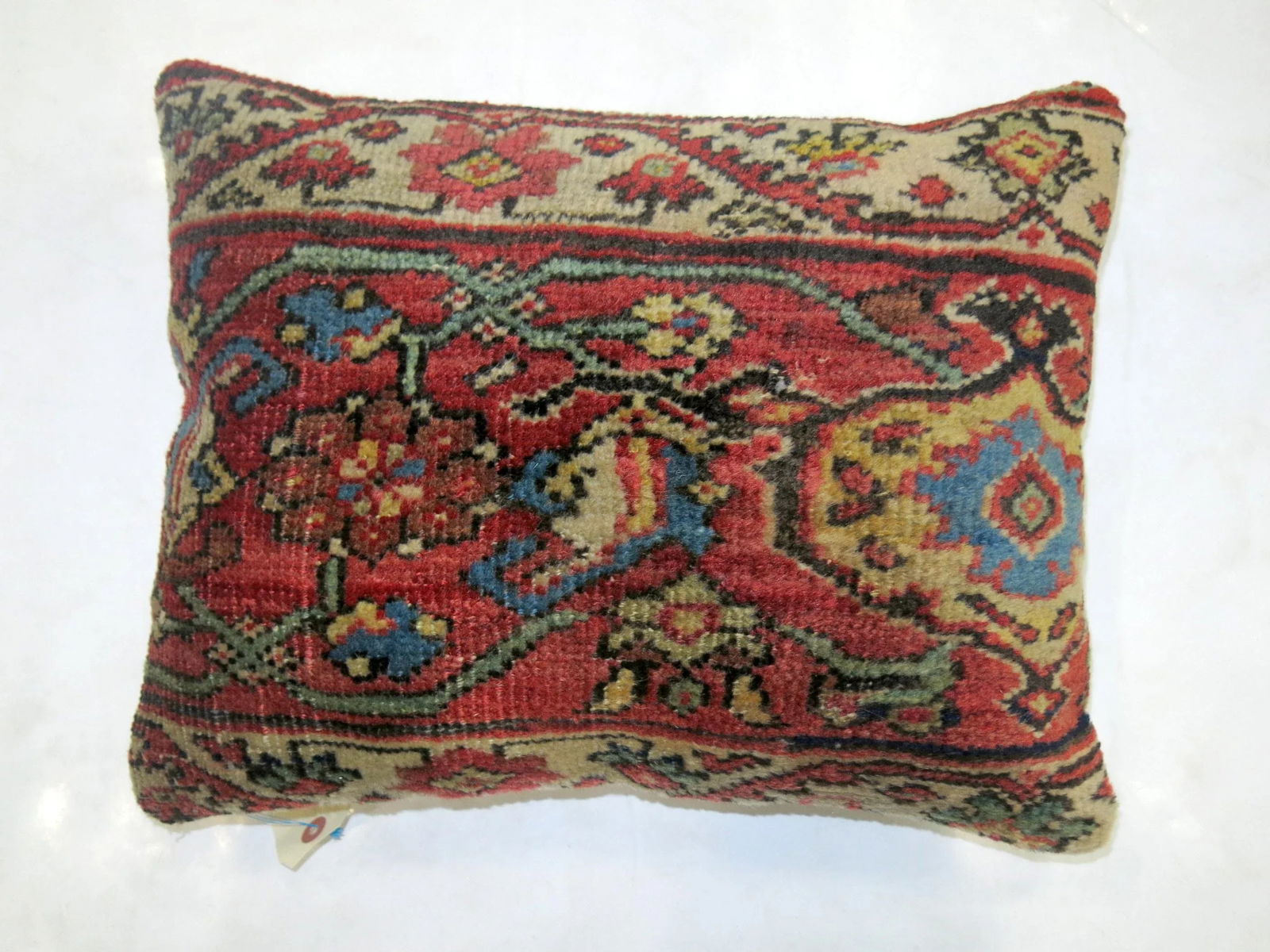 Traditional Antique Border Rug Pillow - 3