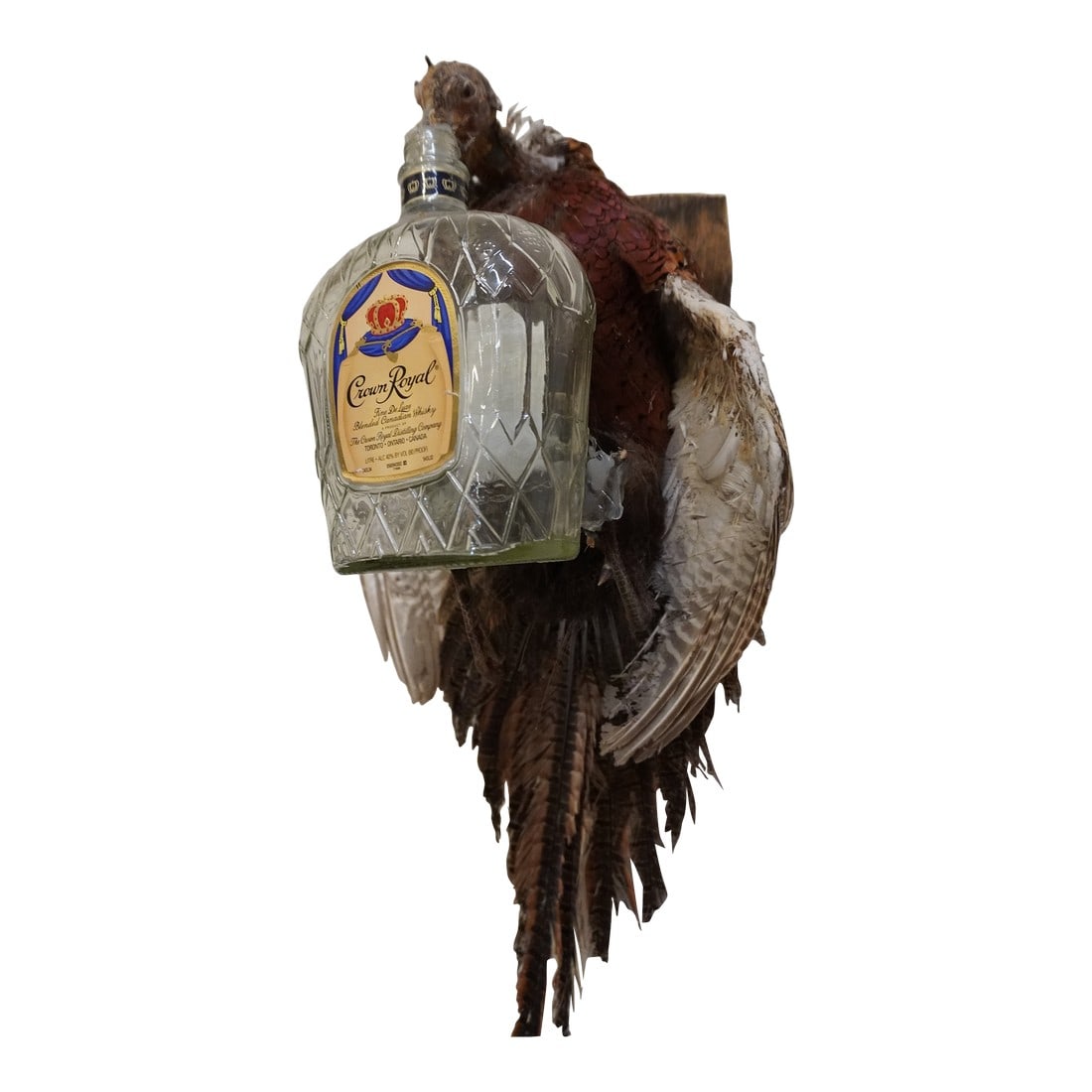 Taxidermy Pheasant Drinking From Crown Royal Bottle: Taxidermy Pheasant Bird Drinking From Crown Royal Bottle. This novelty item would be great for any library, in-home office, or bar area. The bird shows signs of wear, mostly around the head and the