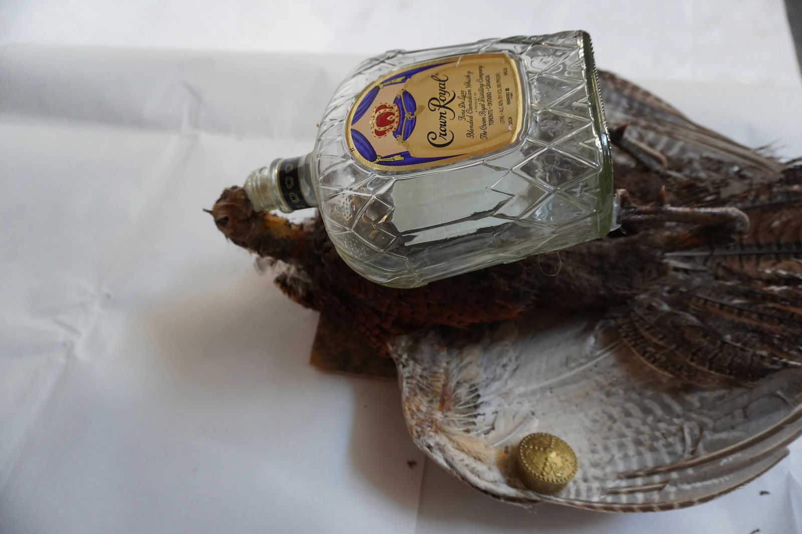 Taxidermy Pheasant Drinking From Crown Royal Bottle - 6