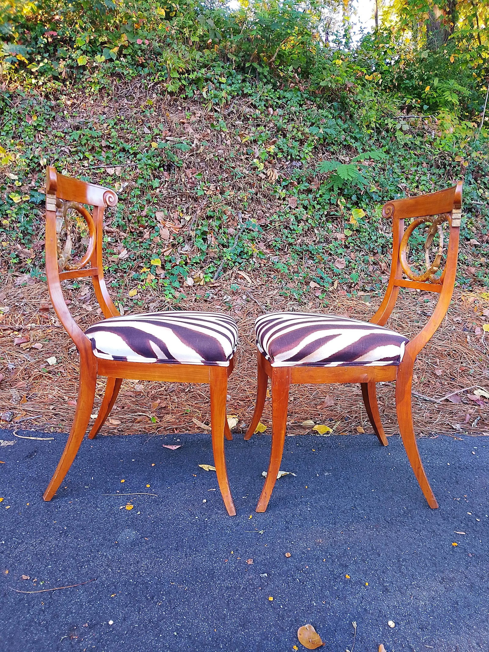 Pair of Mid 20th Century Curved Snake Walnut Regency Chairs in Ralph Lauren Zebra - 2