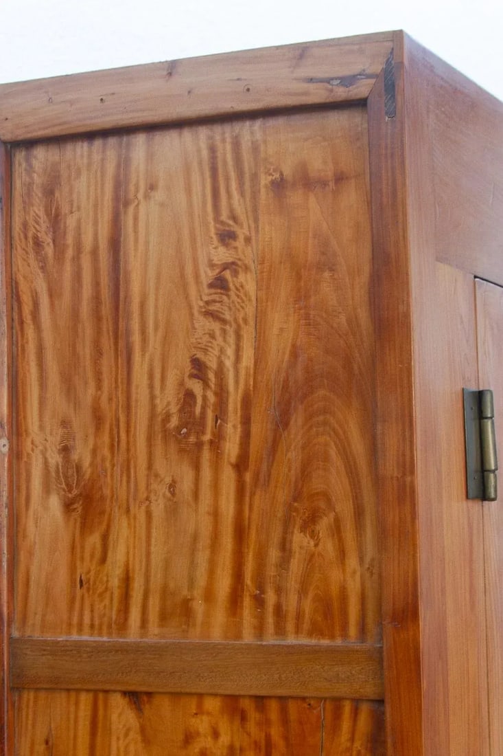 19th Century Chinese Elm & Brass Armoire - 4