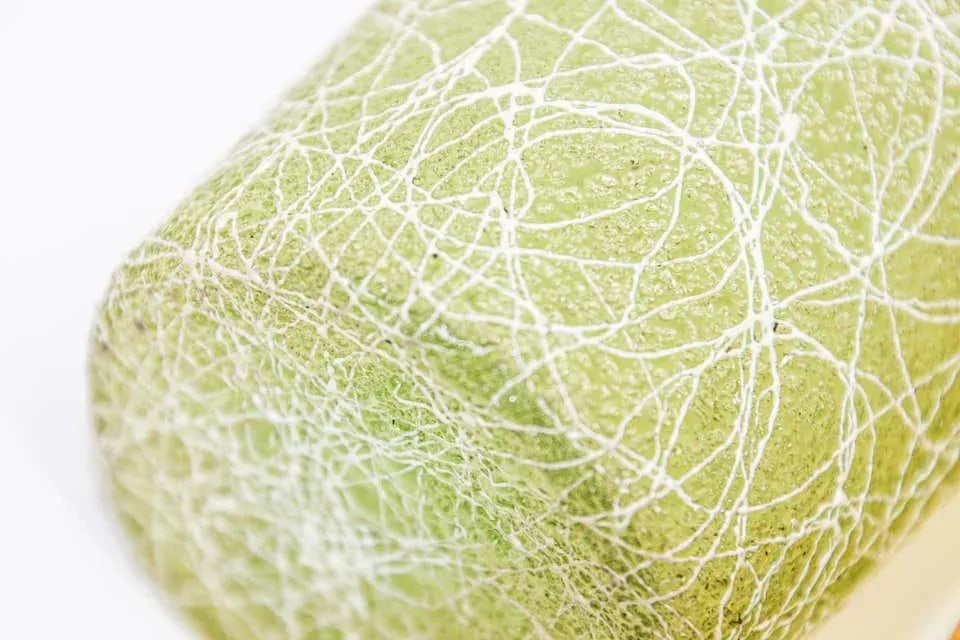 Vintage Collectible Retro Highball Spaghetti String Tumblers - A Pair - 10