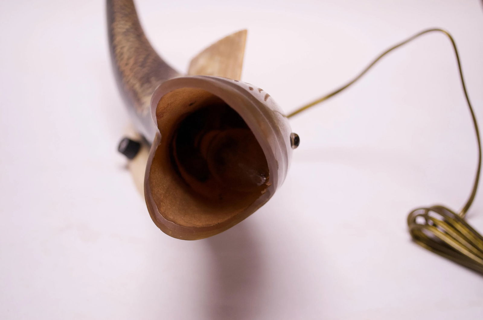 Vintage Cow Horn "Fish" Table Lamp - 12