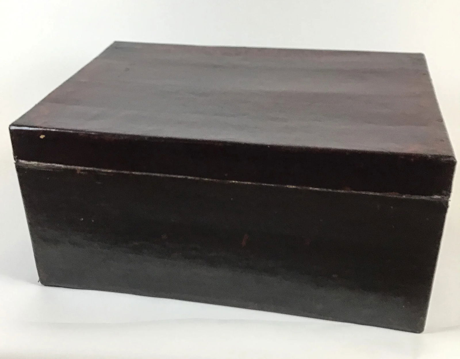 Chinese Antique Leather Trunk - 4