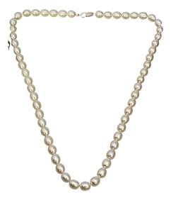 Fresh Water Elongated Pearl Single Strand Necklace, Silver Clasp