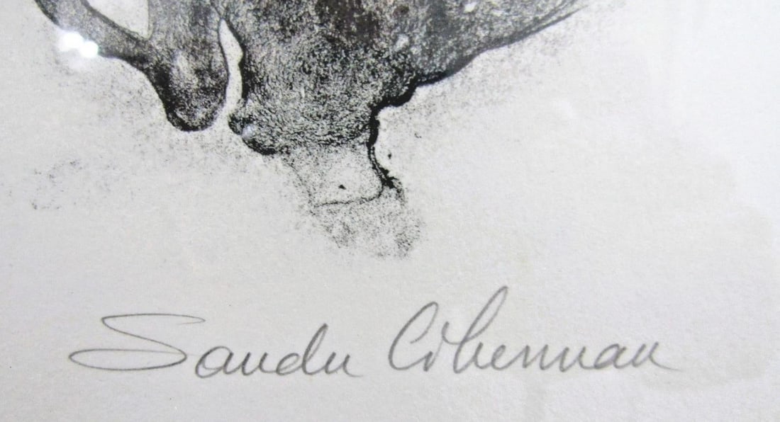 1970s Sandu Liberman Lithograph in the Dark Signed and Numbered in Pencil Framed - 3