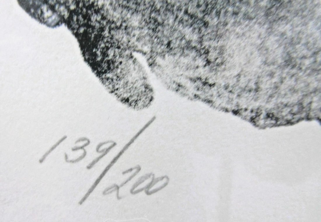 1970s Sandu Liberman Lithograph in the Dark Signed and Numbered in Pencil Framed - 4