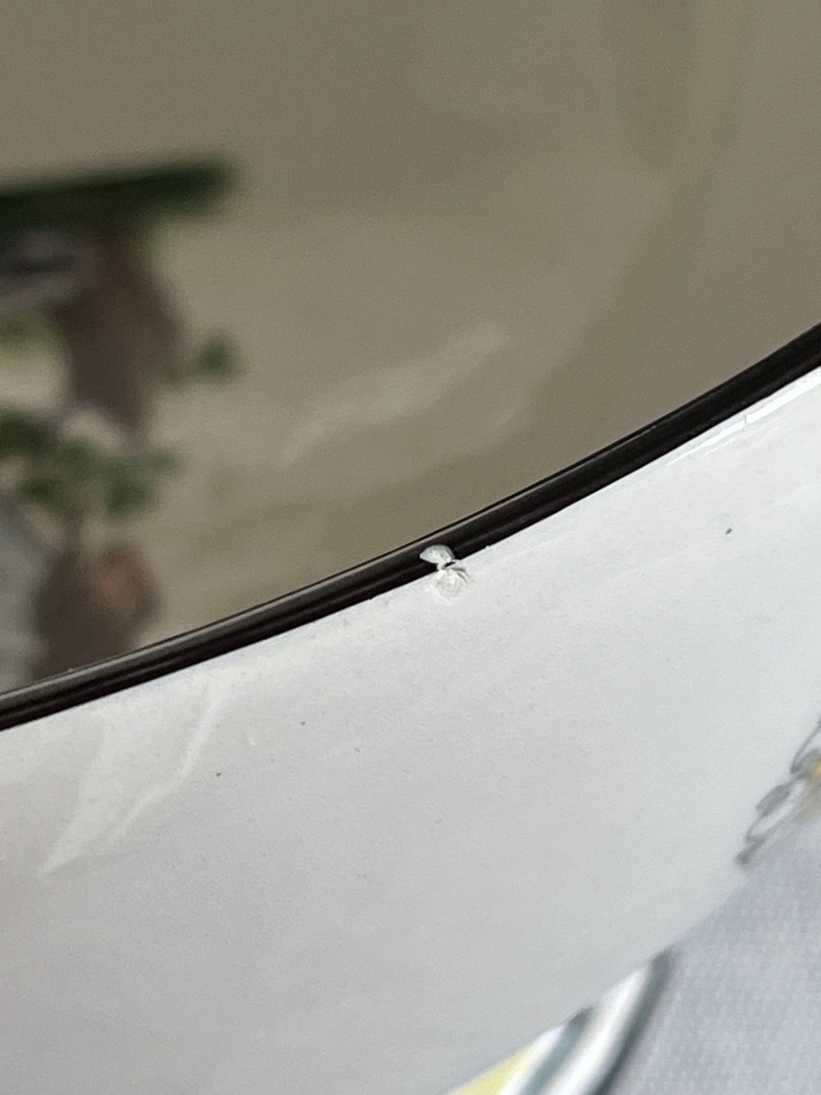 Vintage Mottahedeh Footed Bowl Featuring Maps & Rivers of France - 11