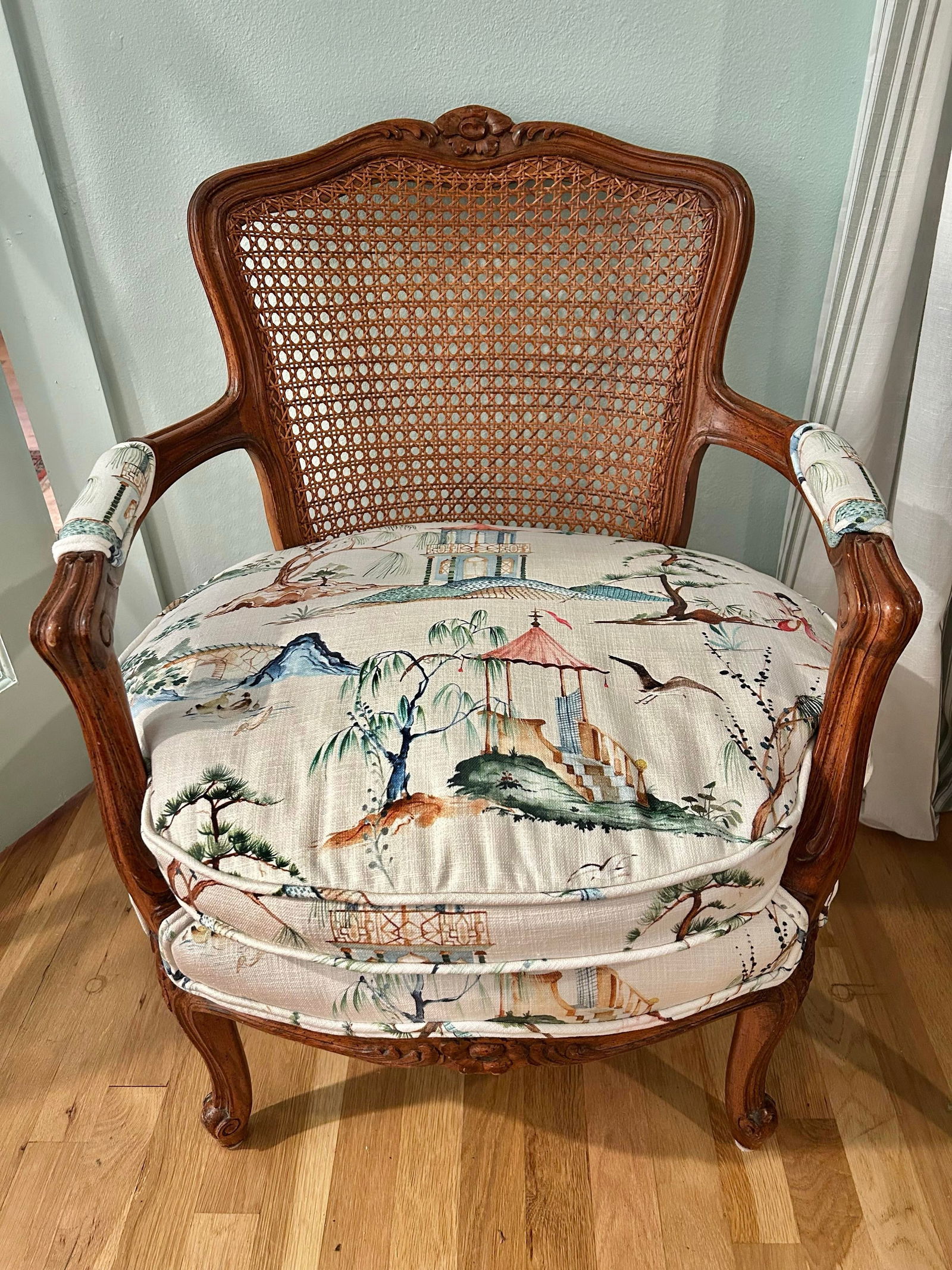 Early 20th Century Louis XV French Style Fauteuil With Caned Back and Down Cushion - 12