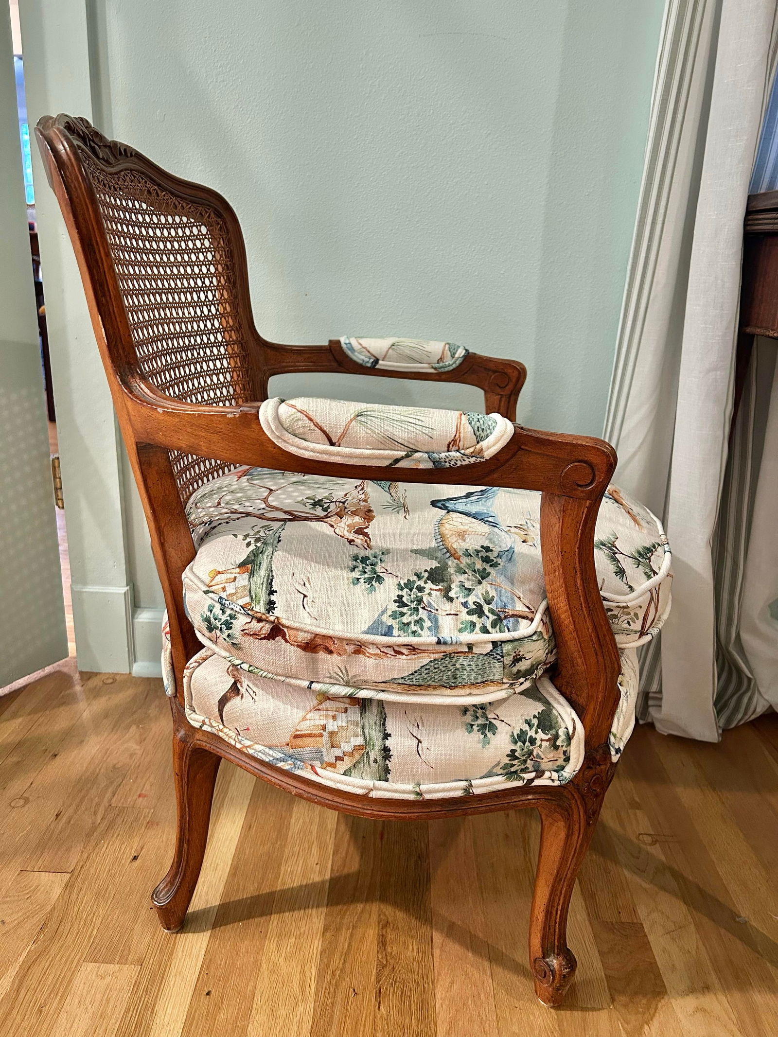 Early 20th Century Louis XV French Style Fauteuil With Caned Back and Down Cushion - 3