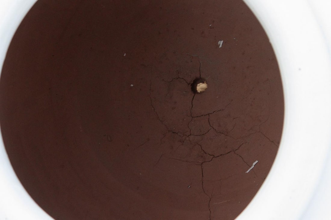 Contemporary White Terracotta Garden Planter - 5