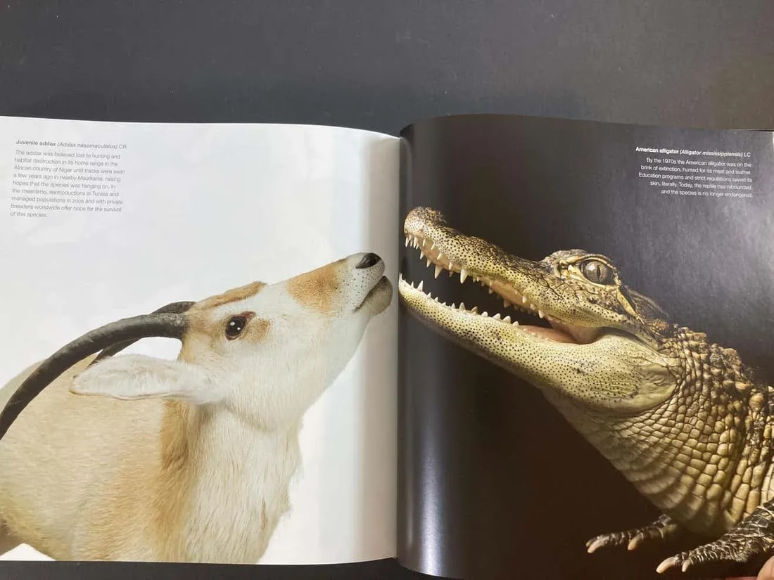 National Geographic The Photo Ark The Quest to Document the World's Animals - A Pair - 4