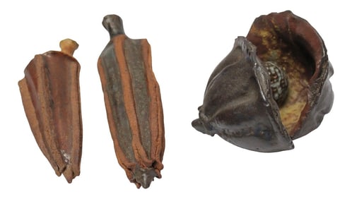 Trio of Studio Ceramic Nature Specimens