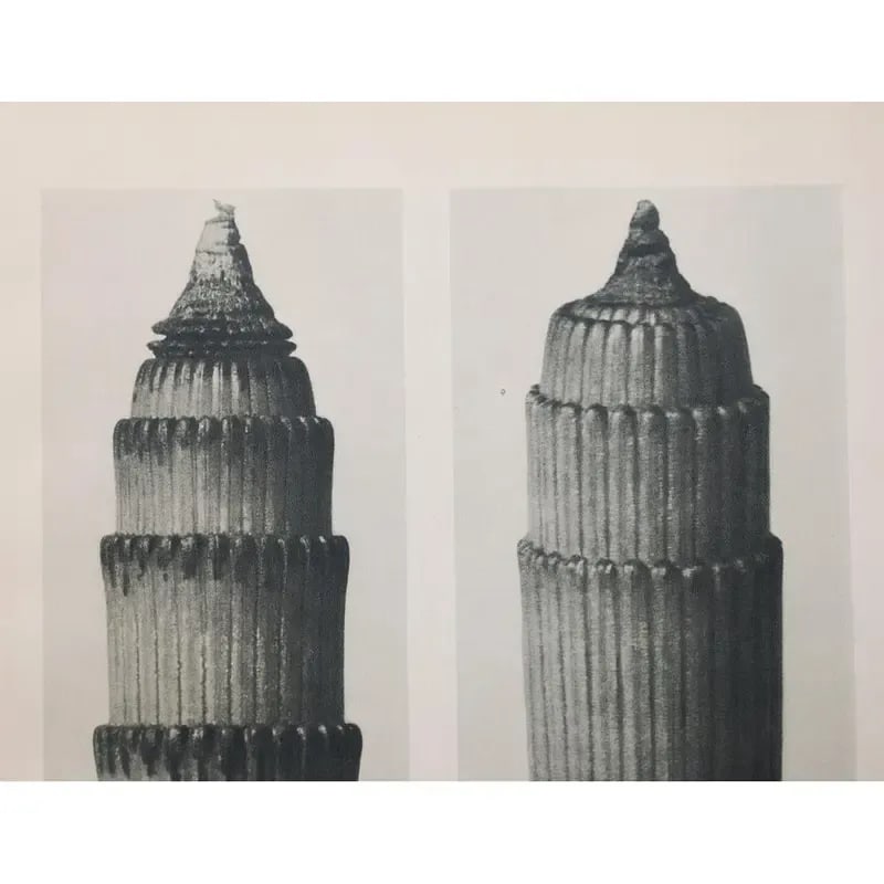1935 Karl Blossfeldt Two-Sided Photogravure N3-4 - 3