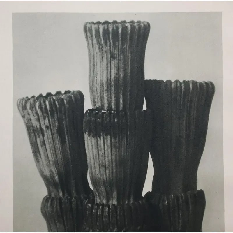 1935 Karl Blossfeldt Two-Sided Photogravure N3-4 - 6