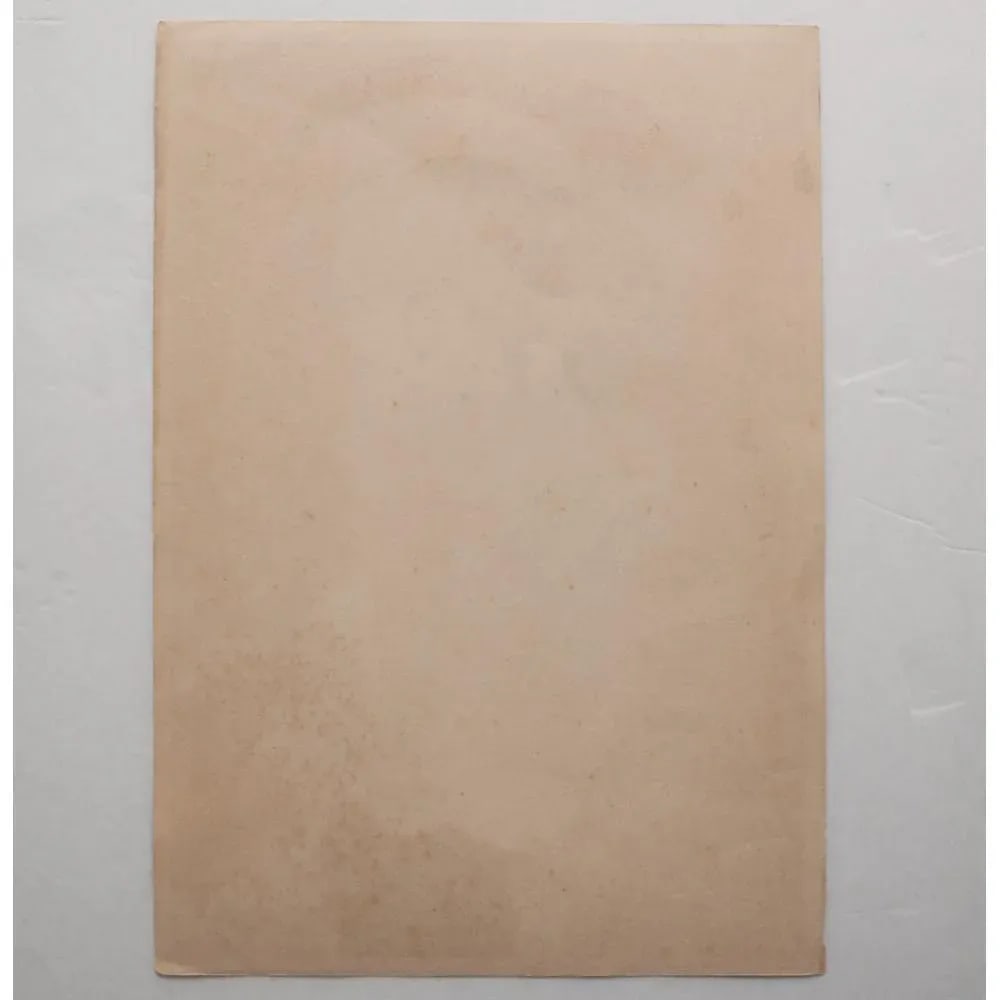 19th C. After Toshusai Sharaku, "Kabuki Actor Segawa KikujurÅ the 3rd" Woodblock Print - 5