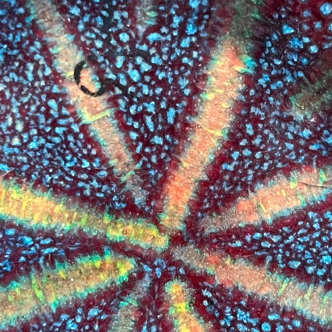 1960s Art Modernist Blue Fusion Swirl Copper Enamel Plate Signed - 11