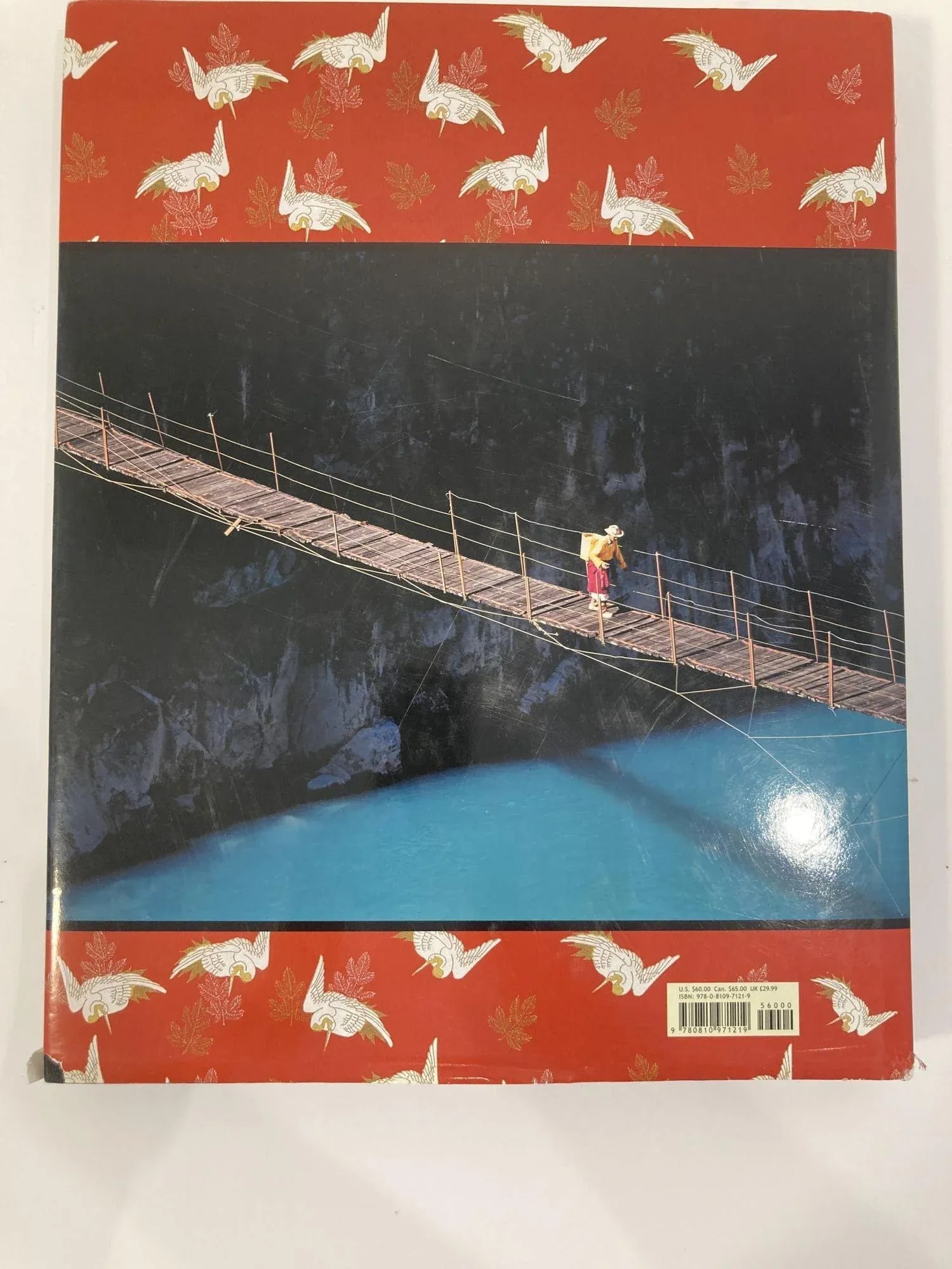 Asia by Olivier Follmi Large Hardcover Book 2008 - 4