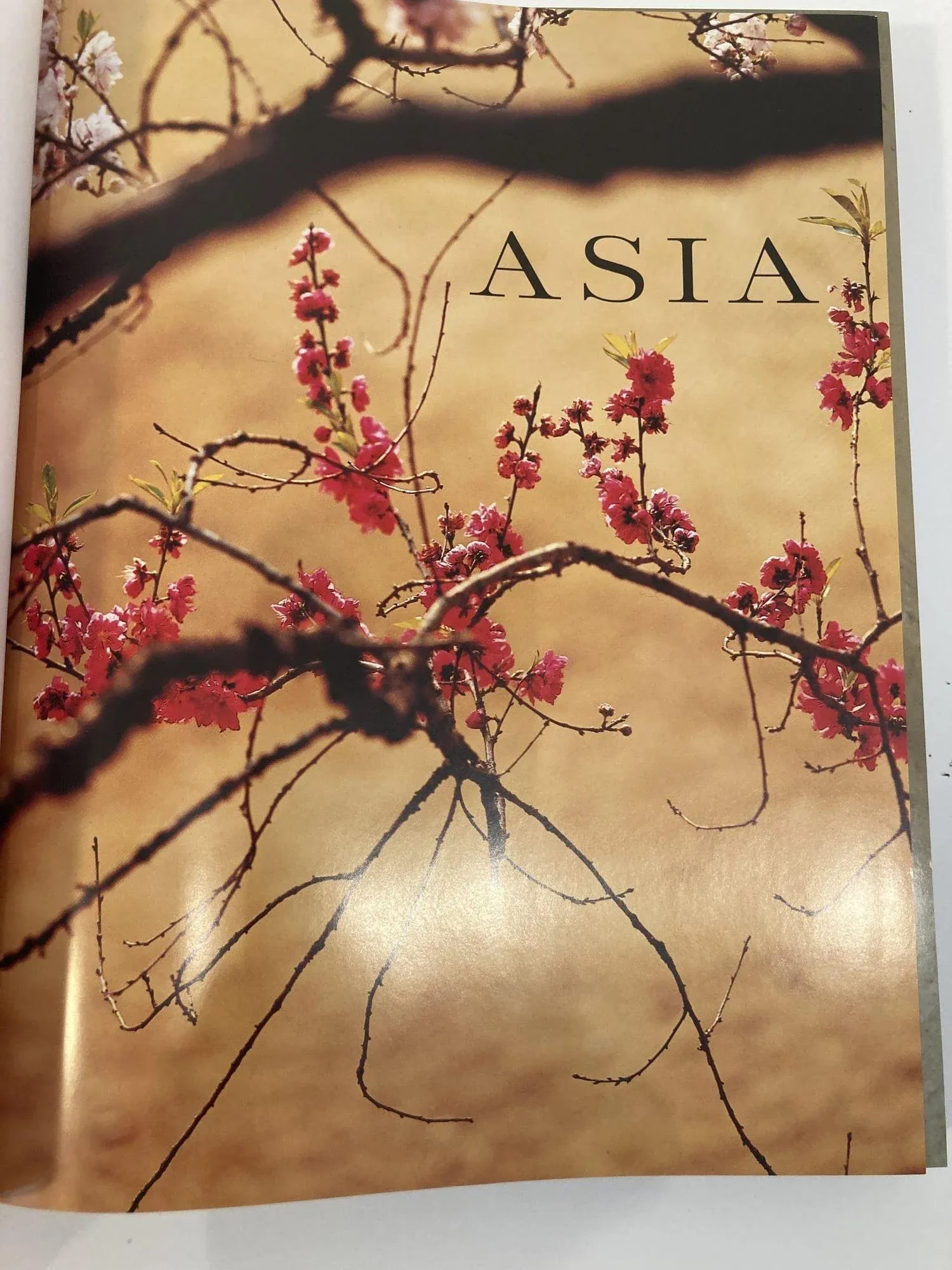 Asia by Olivier Follmi Large Hardcover Book 2008 - 7