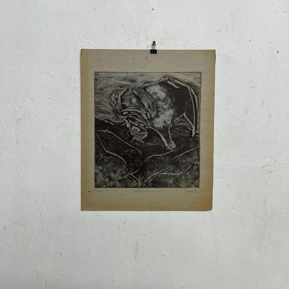 1998 Art by Gina Kail Monoprint Buffalo Metamorphosis 1:6 - 10