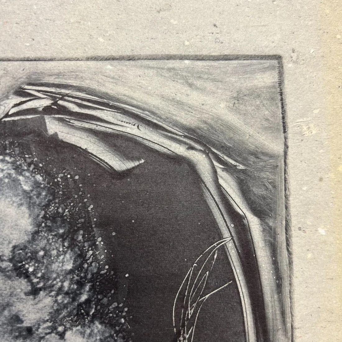 1998 Art by Gina Kail Monoprint Buffalo Metamorphosis 1:6 - 2