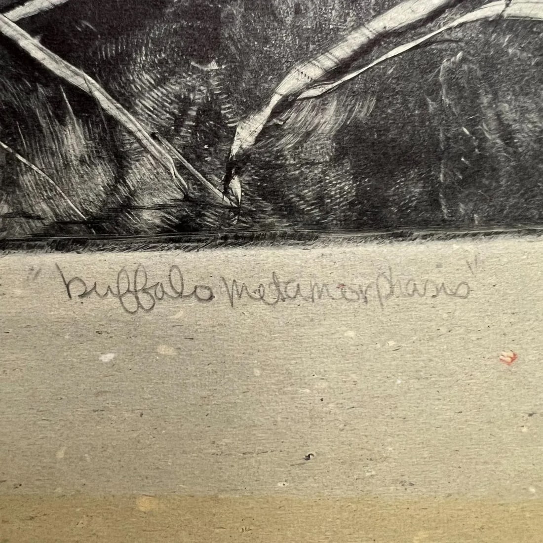 1998 Art by Gina Kail Monoprint Buffalo Metamorphosis 1:6 - 3