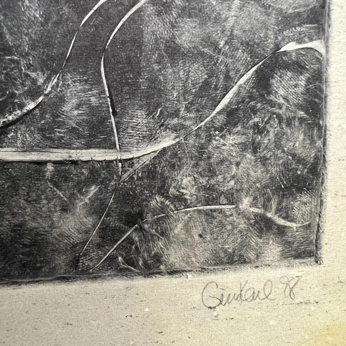 1998 Art by Gina Kail Monoprint Buffalo Metamorphosis 1:6 - 6