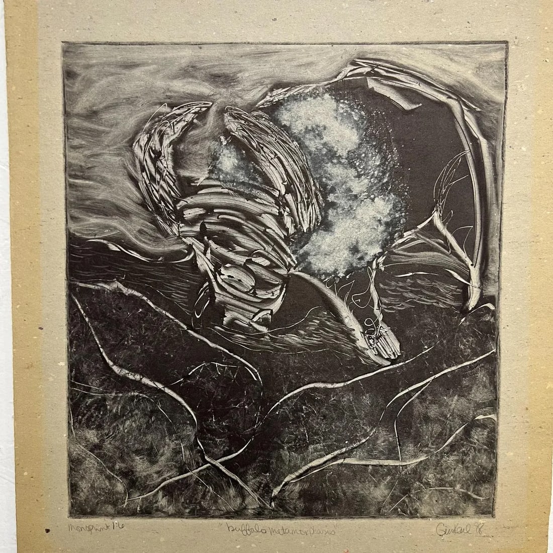1998 Art by Gina Kail Monoprint Buffalo Metamorphosis 1:6 - 9