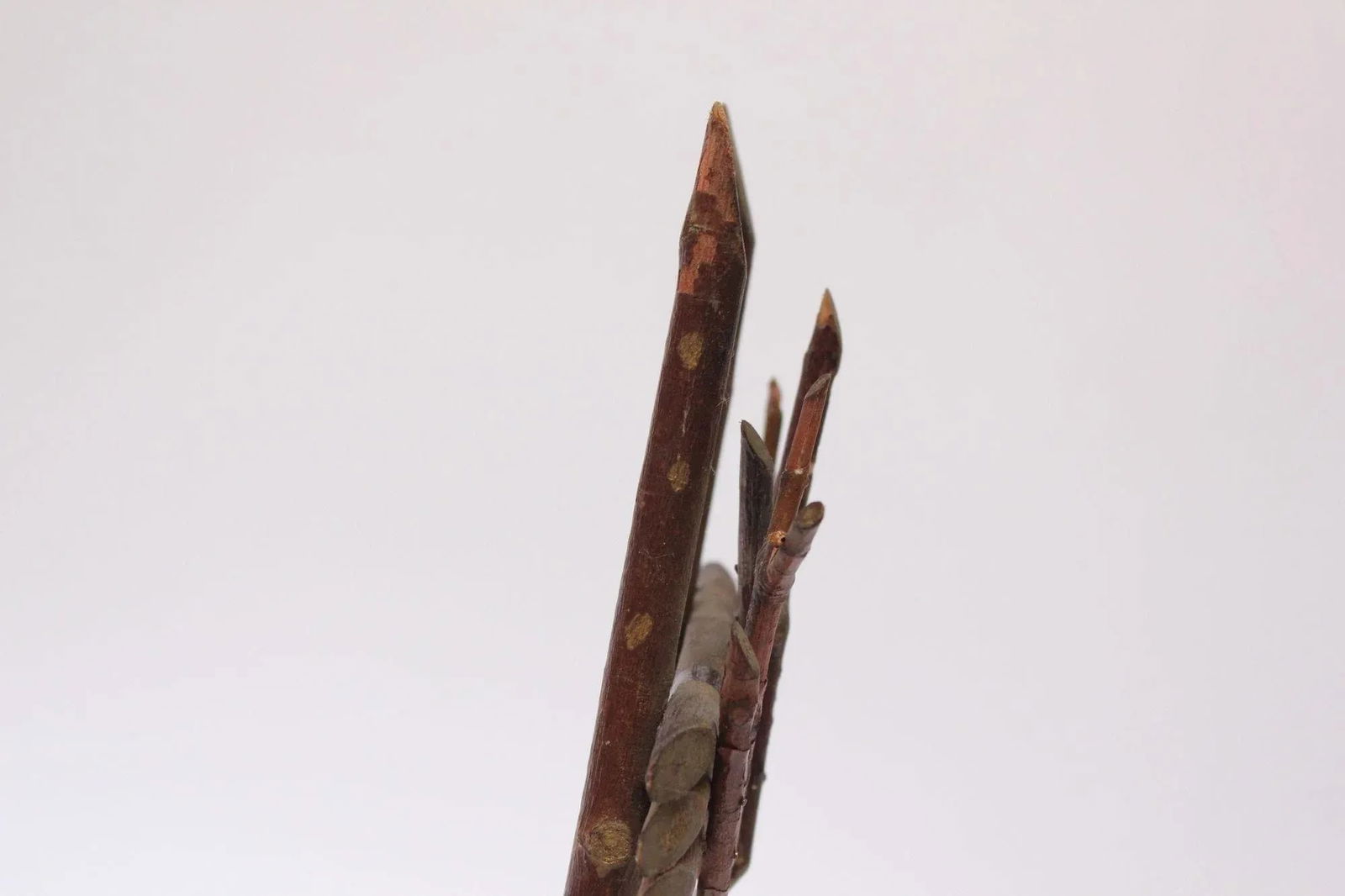 Folk Art Tree Branch Tabletop Easel - 10