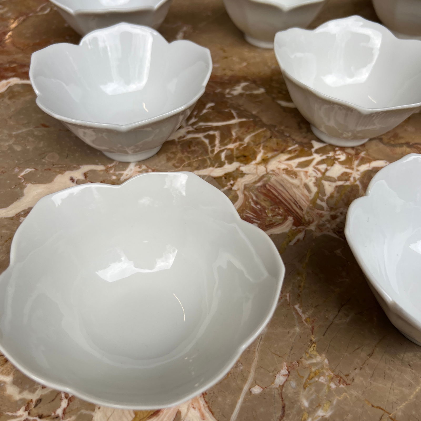 1970s Lotus Bowls- Set of 13 - 10