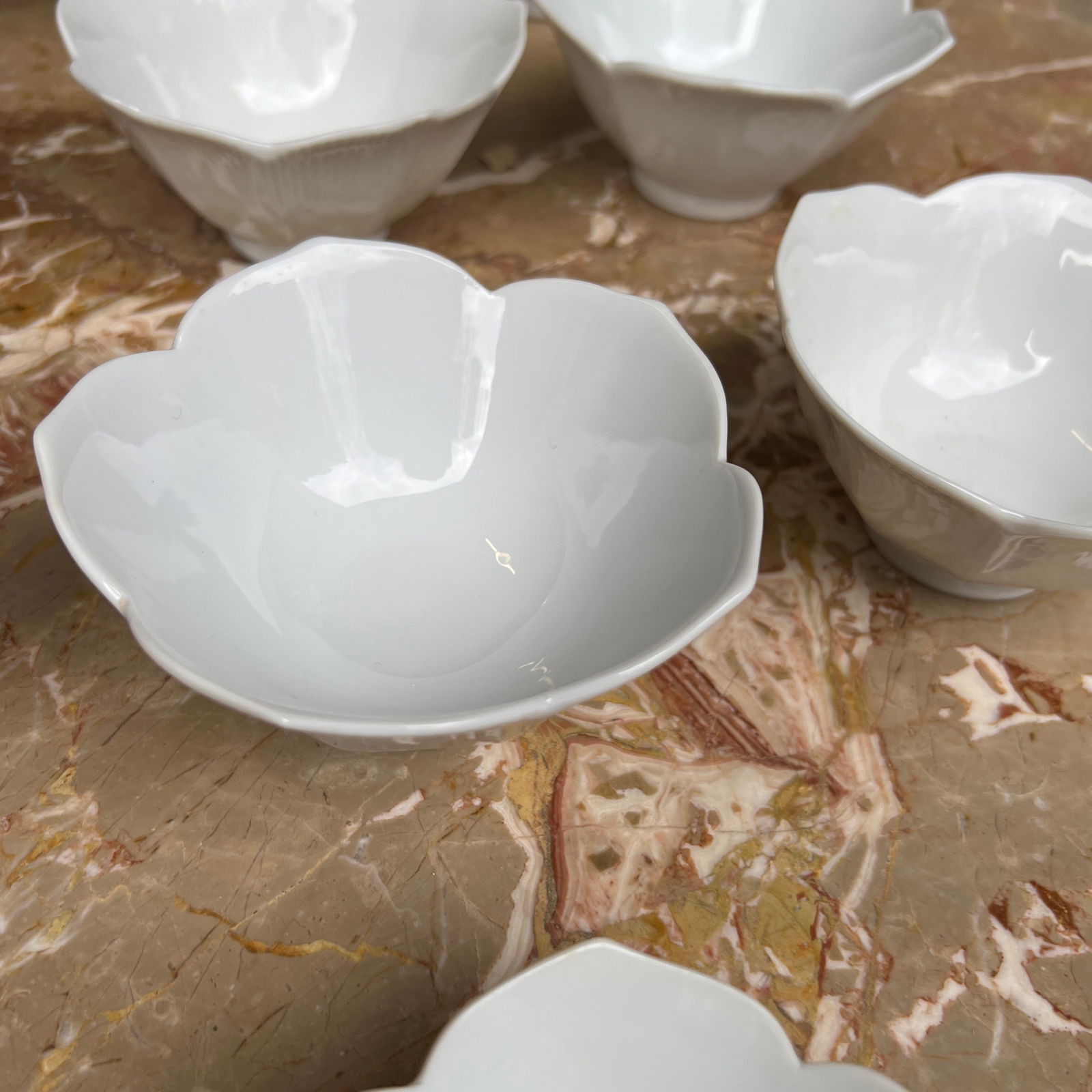 1970s Lotus Bowls- Set of 13 - 11