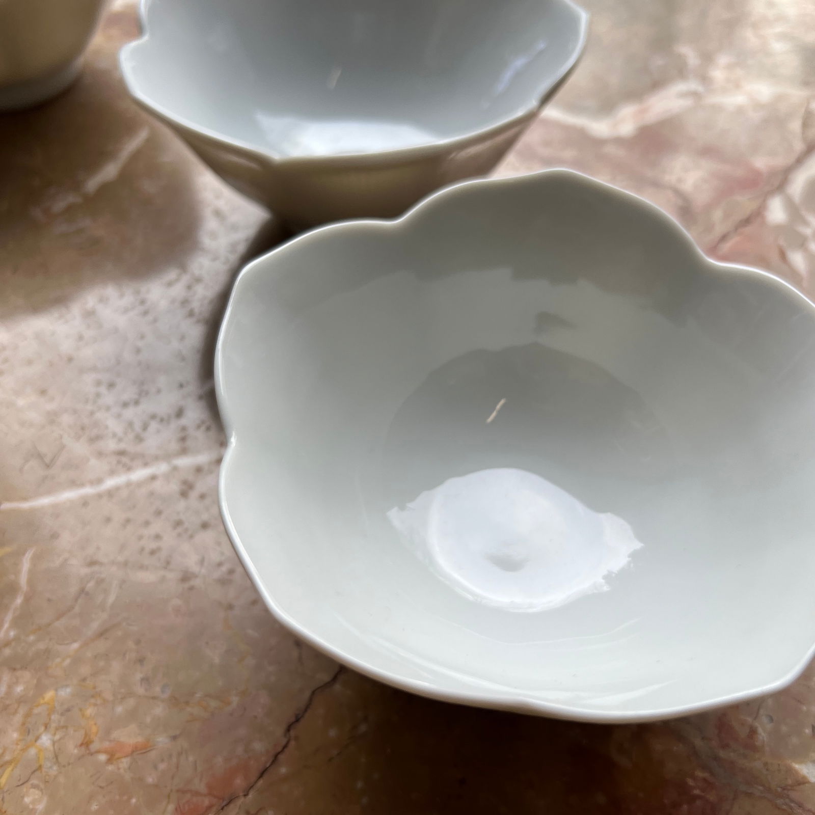 1970s Lotus Bowls- Set of 13 - 7