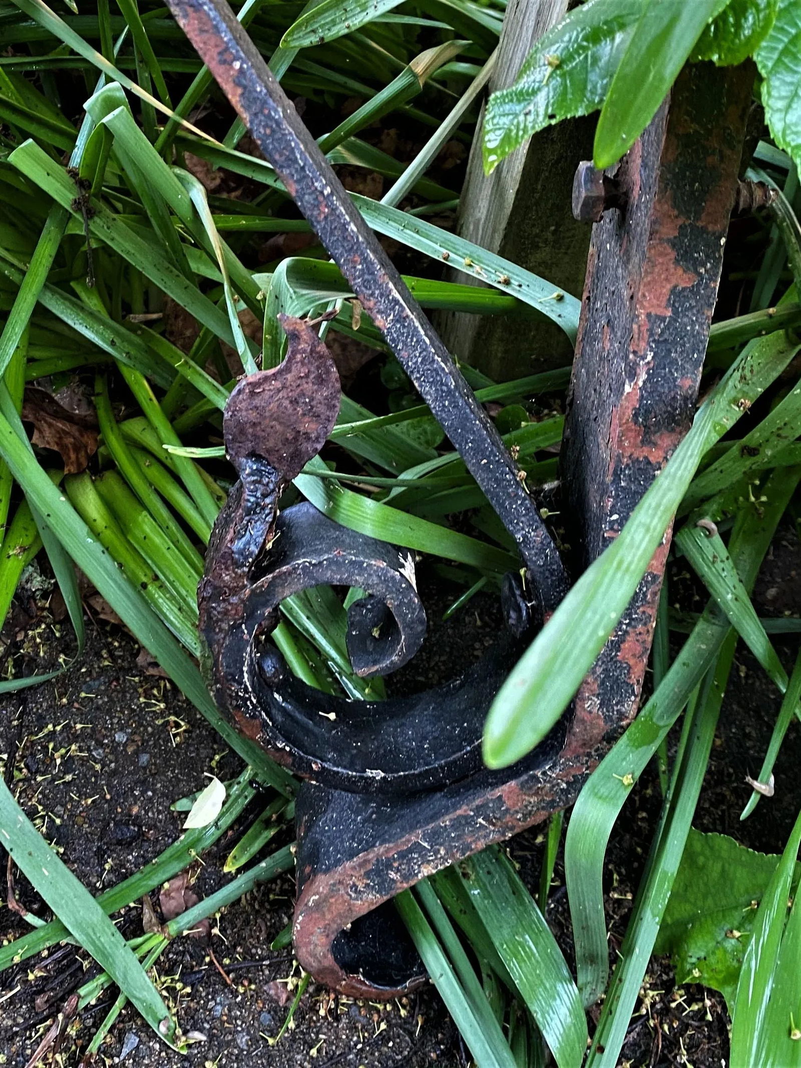 Early 20th Century Heavy Hand-Wrought Iron Exterior Brackets- a Pair - 8