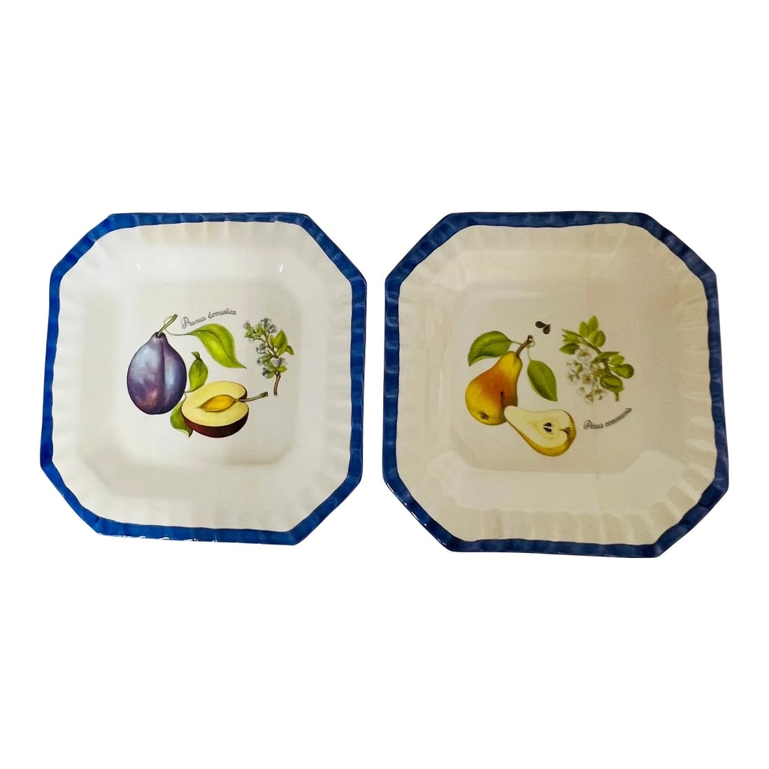 Italian Blue and White Plates With Pear and Plum Designs - Set of 2: Beautiful Italian fruit design plates with indigo border. Measures 9.5" square. Minor discoloration in the white consistent with age and use. Condition: Alterations: Original Condition Unaltered
