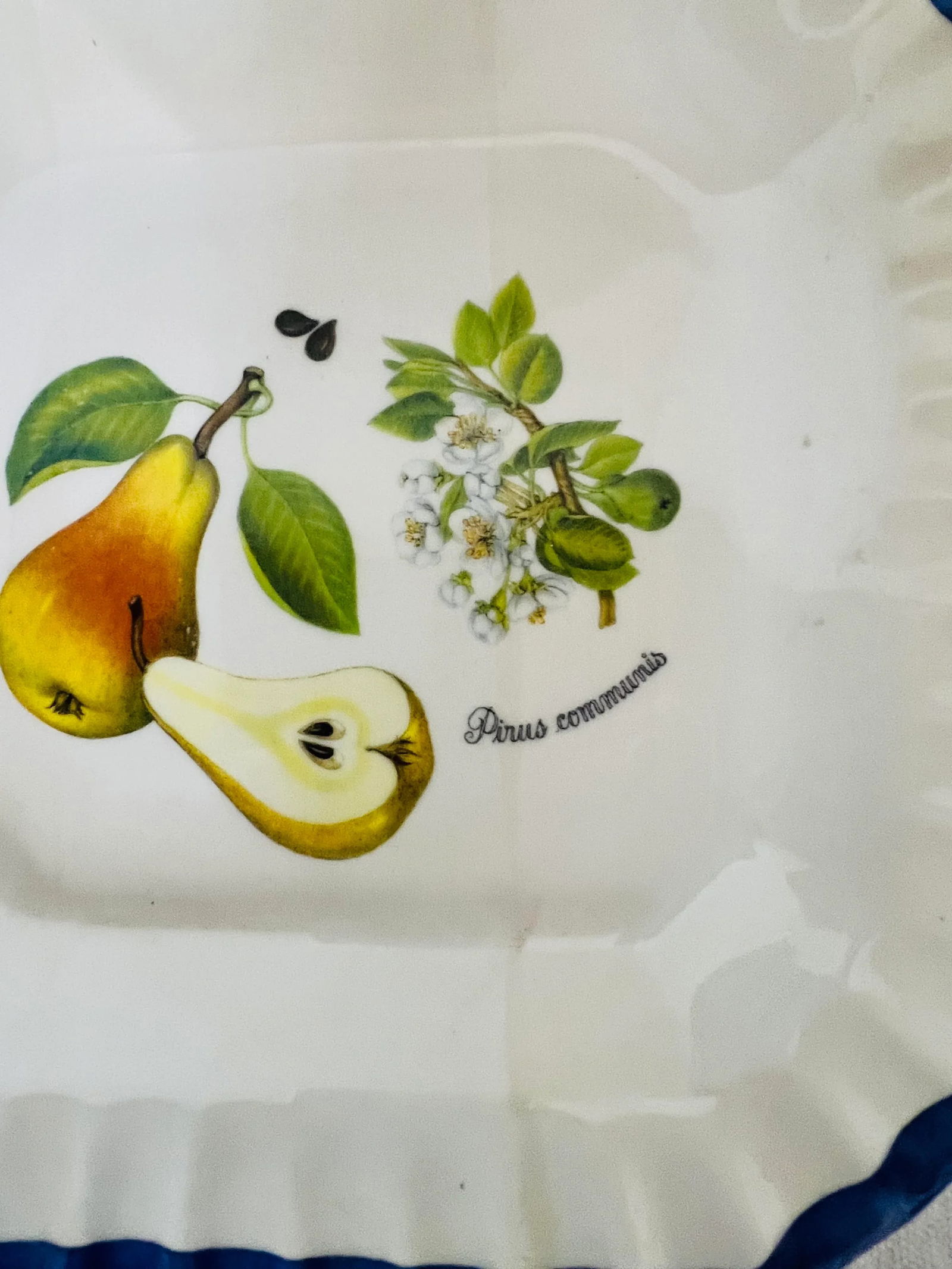 Italian Blue and White Plates With Pear and Plum Designs - Set of 2 - 4