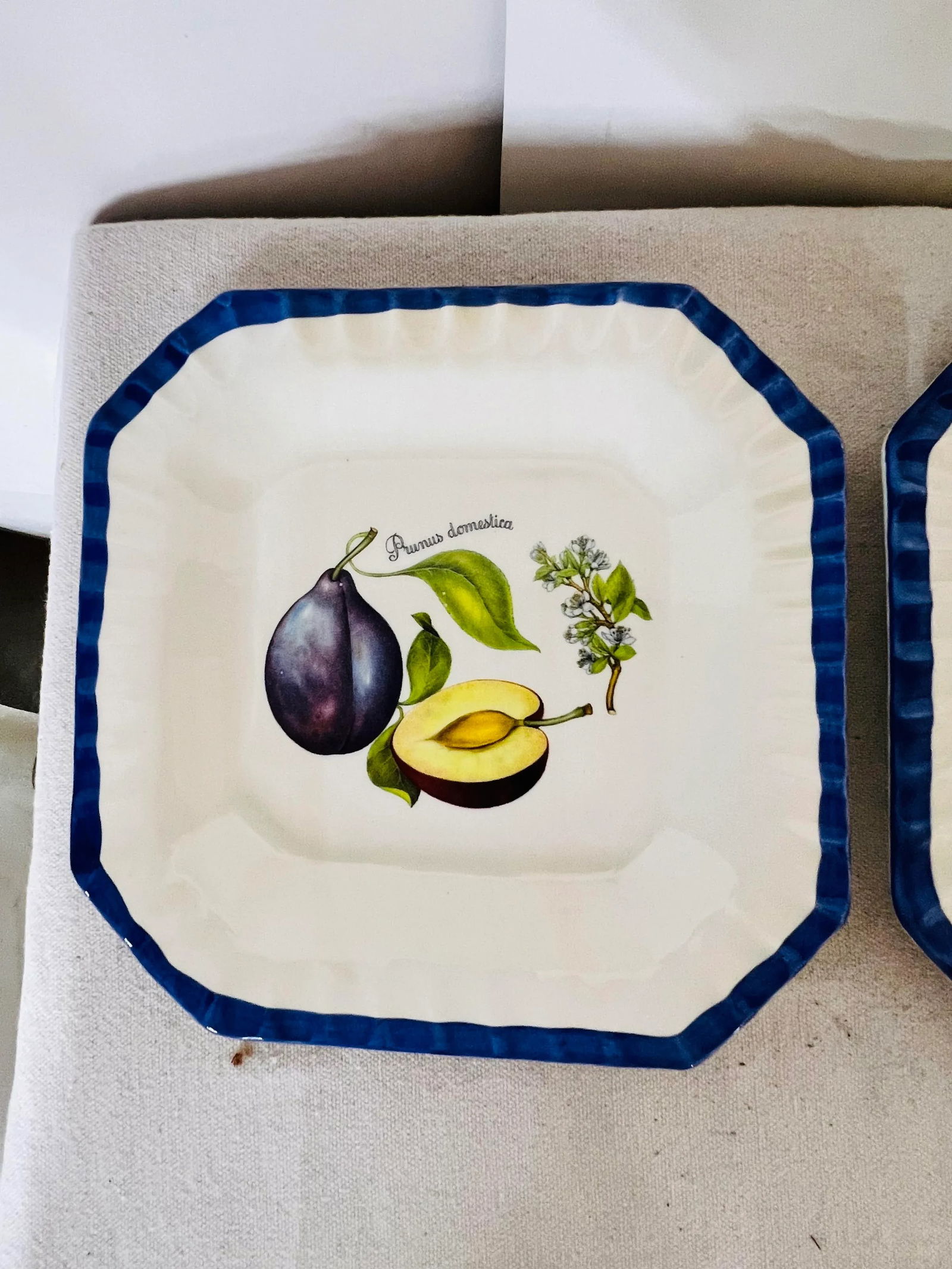 Italian Blue and White Plates With Pear and Plum Designs - Set of 2 - 6