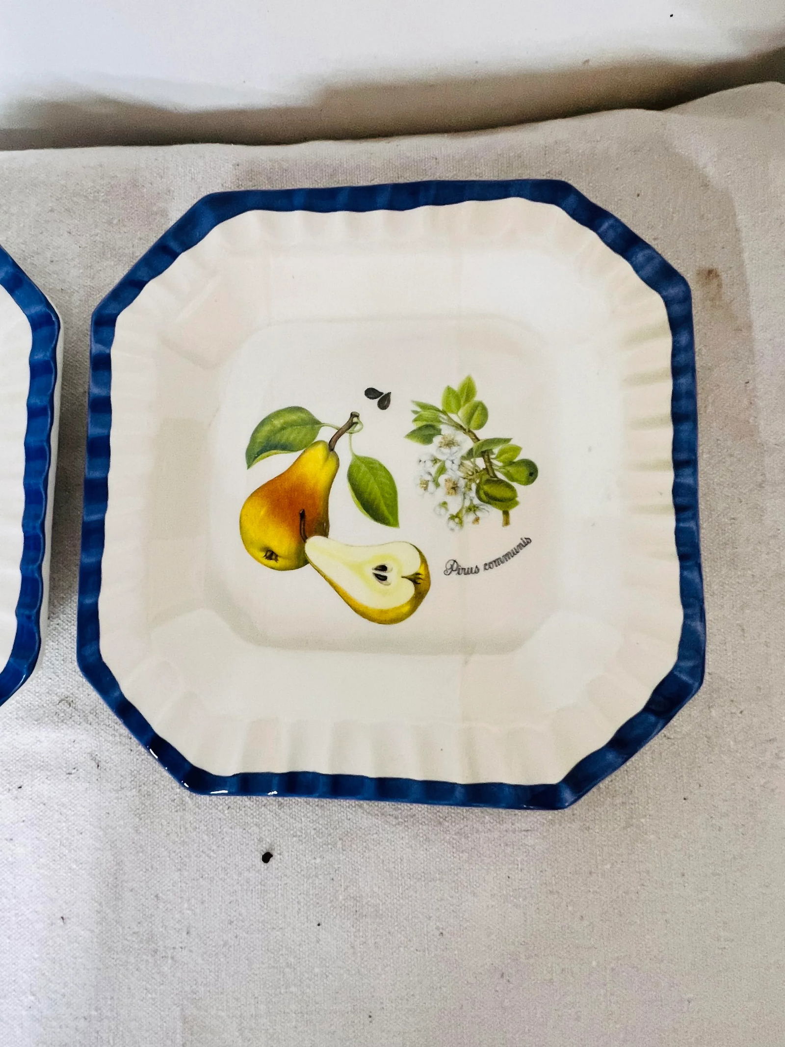 Italian Blue and White Plates With Pear and Plum Designs - Set of 2 - 7