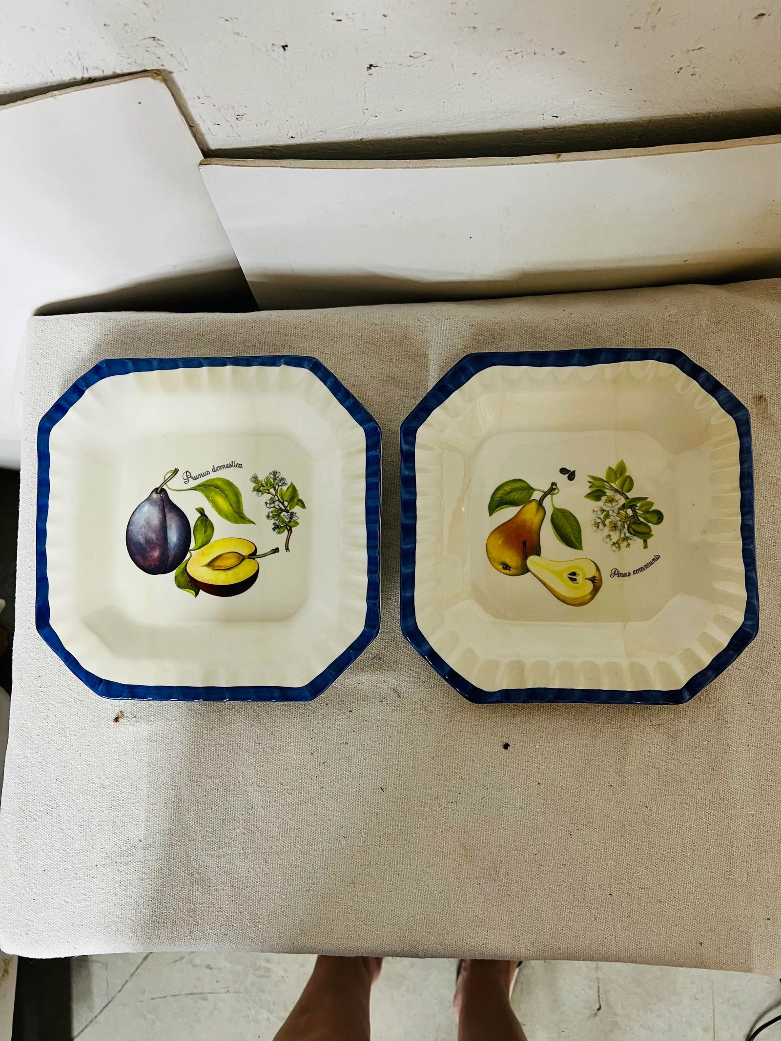Italian Blue and White Plates With Pear and Plum Designs - Set of 2 - 8