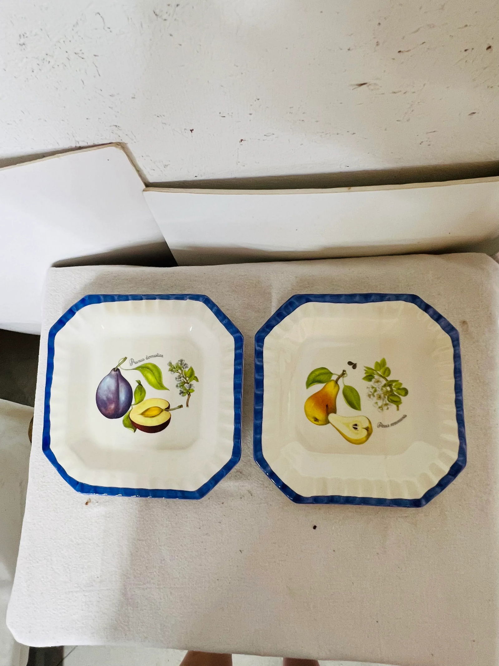 Italian Blue and White Plates With Pear and Plum Designs - Set of 2 - 9