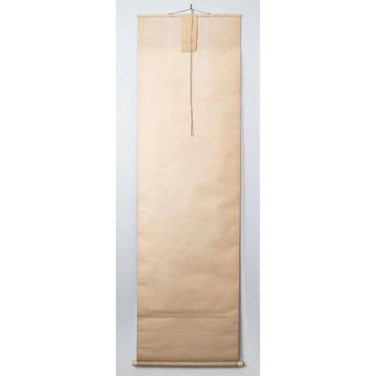 Post-1940 Showa Era Japanese Scroll Painting "Peonies" - 9