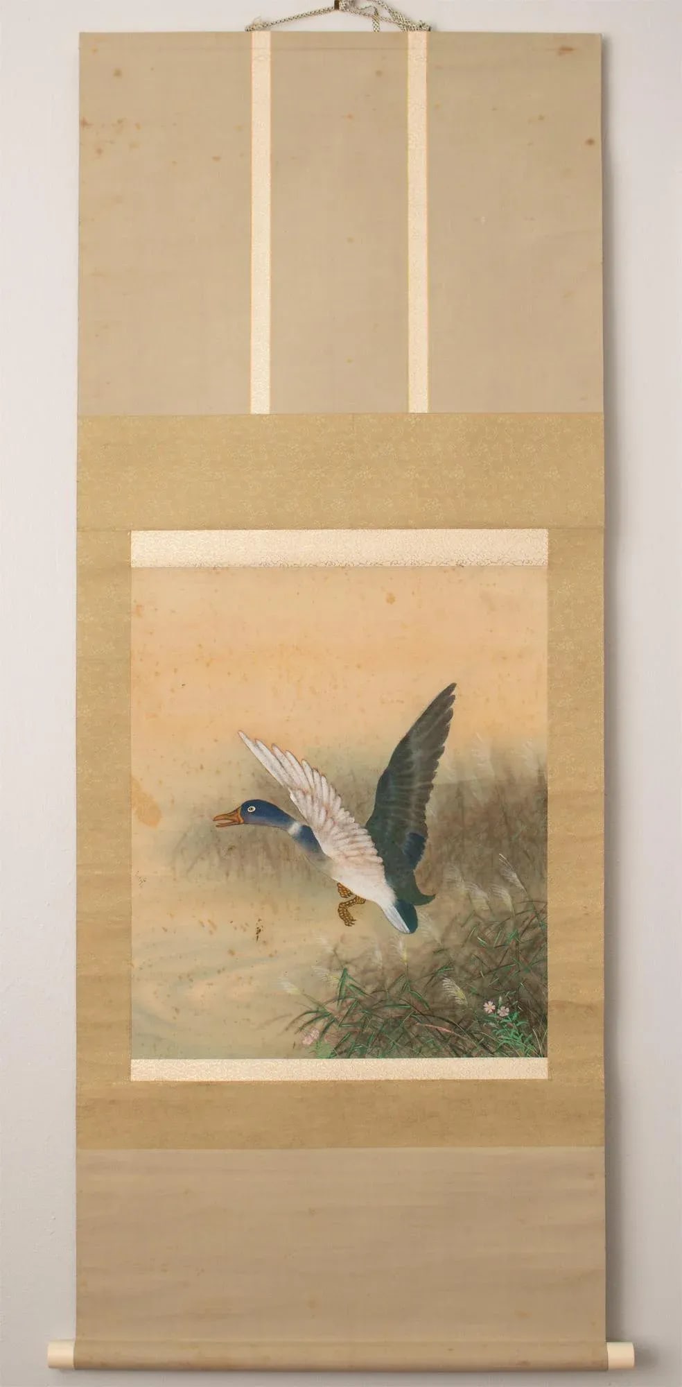 1920s Early Showa Era Japanese Watercolor Painting, "Mallard Duck" - 10