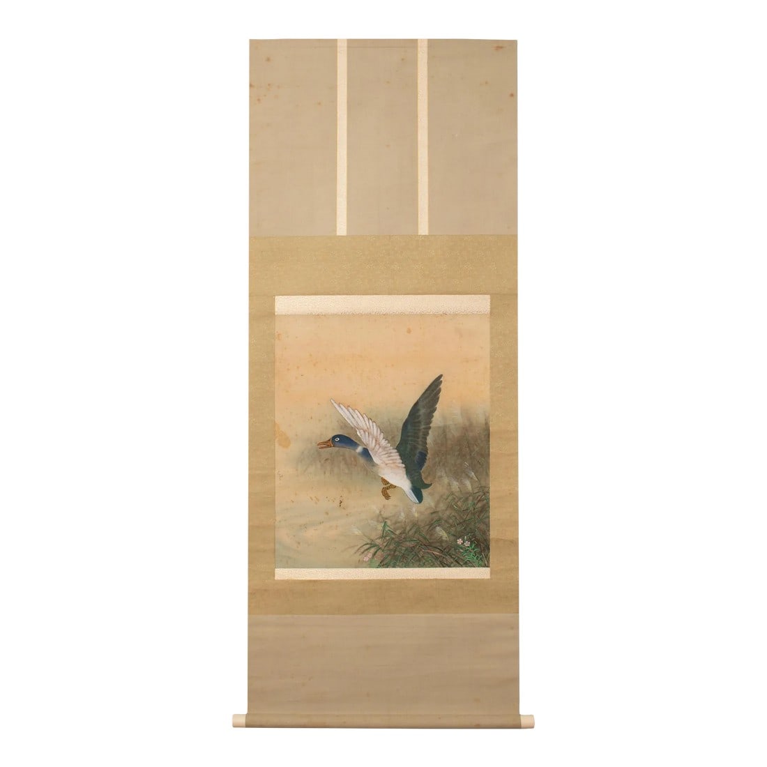 1920s Early Showa Era Japanese Watercolor Painting, "Mallard Duck": Fine Japanese early Showa Era watercolor scroll painting depicting Mallard Duck at the pond. Unsigned. Masterfully done. Beautiful details. Watercolor and ink on silk. Mounted on silk over paper.
